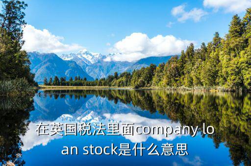 英國(guó)出國(guó)稅 是什么意思，在英國(guó)稅法里面company loan stock是什么意思