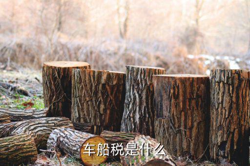 保險(xiǎn)的車船稅是什么意思，車船稅是什么