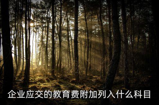 教育費附加干什么，教育費附加代表什么意思