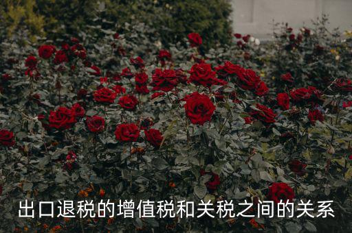 出口關(guān)稅和什么有關(guān)系，出口退稅與進(jìn)口增值稅有什么關(guān)系