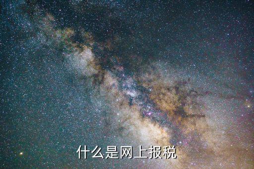 什么是網上報稅