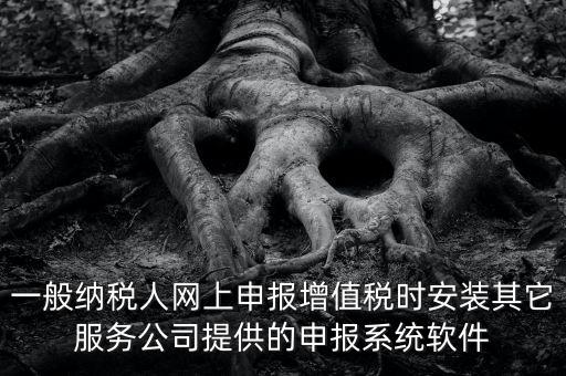 一般納稅人網上申報增值稅時安裝其它服務公司提供的申報系統(tǒng)軟件