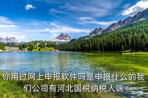 國稅人像采集是什么意思，你用過網(wǎng)上申報軟件嗎是申報什么的我們公司有河北國稅納稅人端