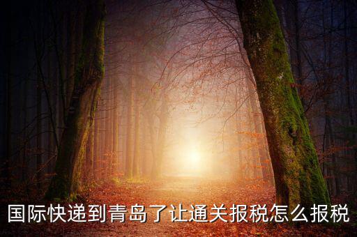 青島物流公司拿什么稅，國際快遞到青島了讓通關(guān)報稅怎么報稅