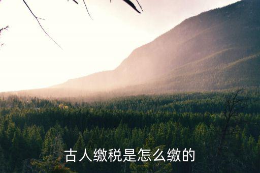 古代稅收交什么，古人繳稅是怎么繳的