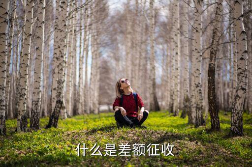 勞務(wù)費(fèi)差額征稅是什么意思，差額稅是啥東西