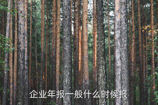 財(cái)務(wù)年報(bào)什么時(shí)候報(bào)，企業(yè)財(cái)務(wù)會計(jì)報(bào)告什么時(shí)間出具
