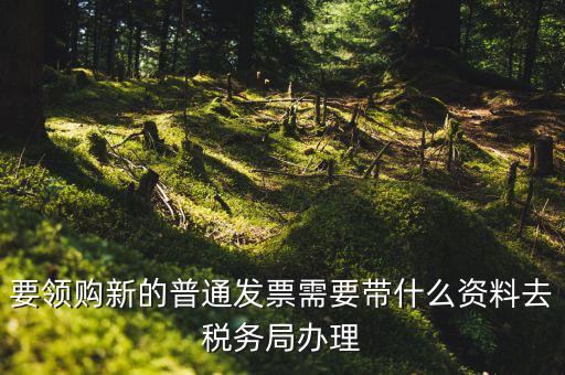 發(fā)票領購本需要帶什么，去國稅局報稅需要發(fā)票領購簿嗎都需要帶什么大神們幫幫忙