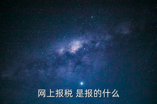網上報稅 是報的什么