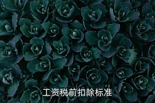 什么是稅前扣除標準，請問差旅費稅前扣除標準是什么