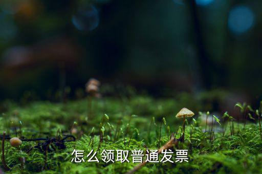 普通發(fā)票在什么地方領(lǐng)，怎么領(lǐng)取普通發(fā)票
