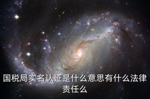 國稅局實名認證是什么意思有什么法律責(zé)任么
