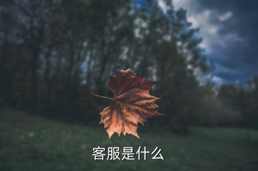 gs客服是什么，客服是什么