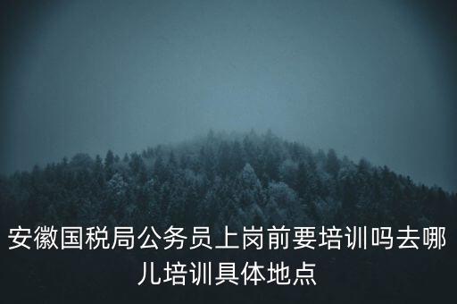 安徽國稅什么時候培訓(xùn)，安徽省稅務(wù)學(xué)校還在嗎那里的教學(xué)樓宿舍和操場都還在嗎沒被拆