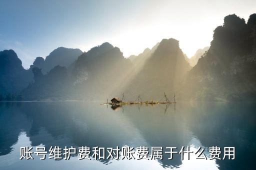 賬號維護費和對賬費屬于什么費用