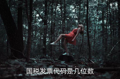 發(fā)票代碼是什么位置，國稅普票代碼是幾位數(shù)字在什么位置