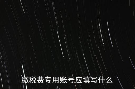 繳稅費(fèi)專(zhuān)用賬號(hào)應(yīng)填寫(xiě)什么
