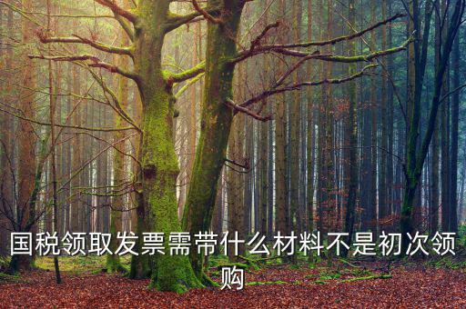 國稅領取發(fā)票需帶什么材料不是初次領購
