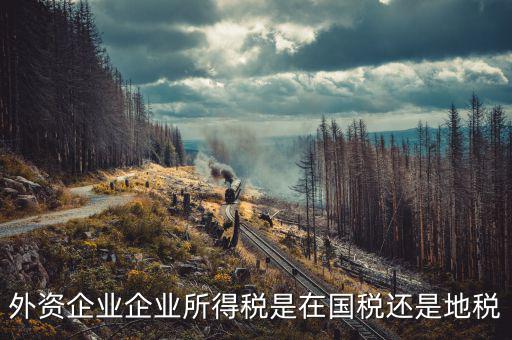 外資企業(yè)交什么稅，涉外企業(yè)應繳些什么稅