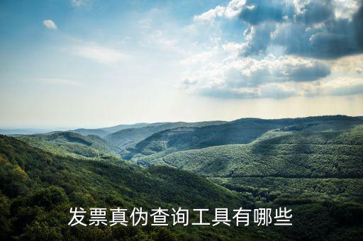 查發(fā)票用什么軟件下載，發(fā)票真?zhèn)尾樵児ぞ哂心男?/></a></span><span id=