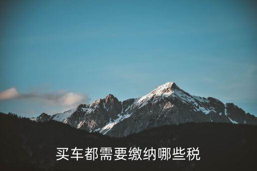 車輛納稅需要什么意思，車輛上路需要交什么稅