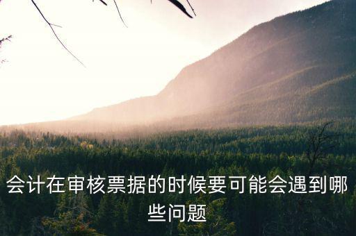 審核憑證會(huì)出什么問(wèn)題，在審核憑證時(shí)出現(xiàn)這個(gè)問(wèn)題是怎么回事