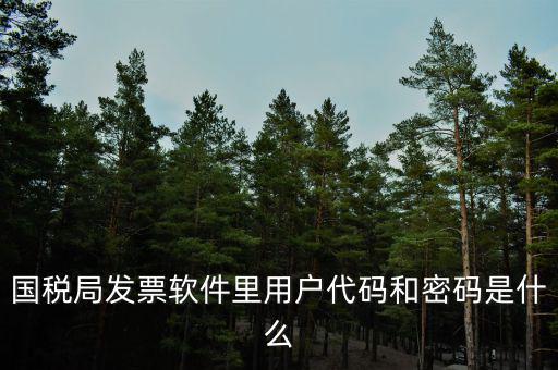 網(wǎng)絡(luò)發(fā)票 登錄密碼是什么，國(guó)稅局發(fā)票軟件里用戶代碼和密碼是什么