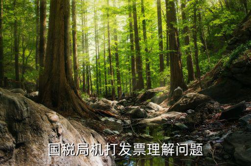 機(jī)打票是什么問(wèn)題，個(gè)體工商戶開機(jī)打票的問(wèn)題