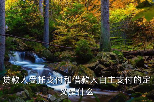 自主支出是什么，自主支出是什么意思求解釋