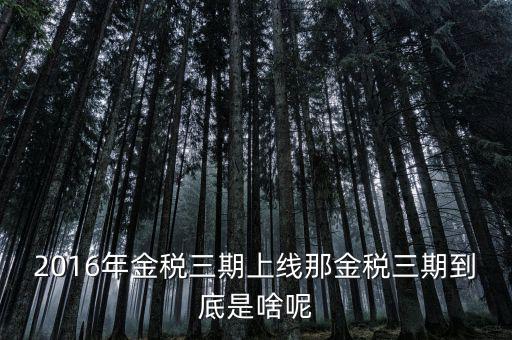 國稅金稅三期是什么意思，金稅三期是什么意思