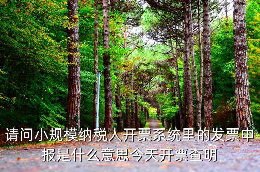 稅票申報是什么意思，納稅申報與申報納稅是一個意思嗎都是代理記賬的業(yè)務范疇嗎  搜