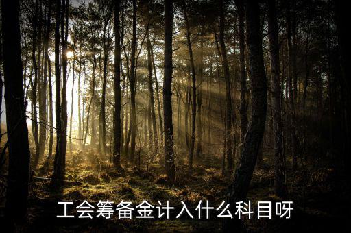什么是工會籌備金，工會籌備金計入什么科目呀