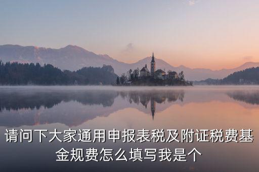 通用申報(bào)基金規(guī)費(fèi)包括什么，請問下大家通用申報(bào)表稅及附證稅費(fèi)基金規(guī)費(fèi)怎么填寫我是個