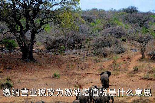 營業(yè)稅改為增值稅是什么意思，營業(yè)稅改增值稅指的是什么