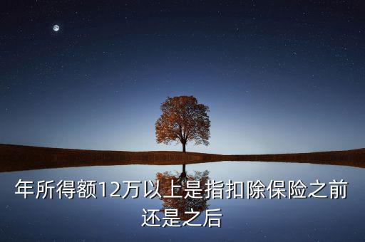年所得12萬指的是什么，年所得12萬元以上是指什么