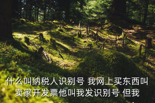 公司納稅識別號是什么意思，納稅人識別碼是什么