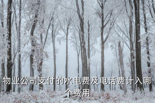 物業(yè)公司支付的水電費(fèi)及電話(huà)費(fèi)計(jì)入哪個(gè)費(fèi)用