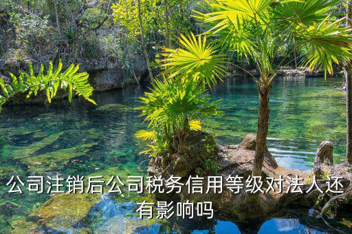 國稅評級有什么影響，納稅評估的作用有哪些