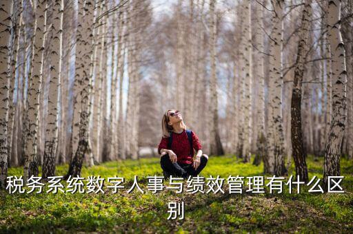 數(shù)字人事評(píng)是什么，稅務(wù)系統(tǒng)數(shù)字人事與績效管理有什么區(qū)別