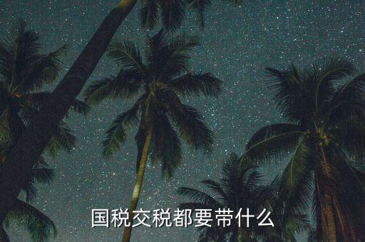 國稅錄指紋需要帶什么，國稅交稅都要帶什么