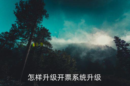 開票用什么軟件升級，怎樣升級開票系統(tǒng)升級