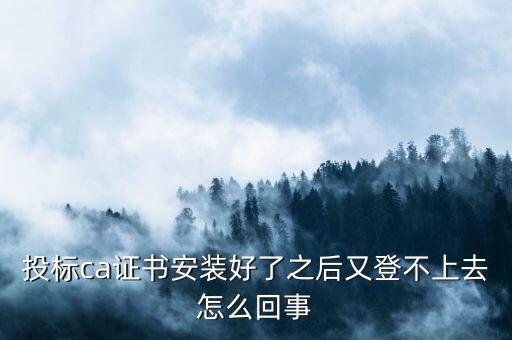 ca登陸不上是什么原因，登不上是怎么回事