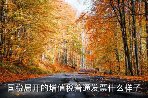 國(guó)稅局開的增值稅普通發(fā)票什么樣子