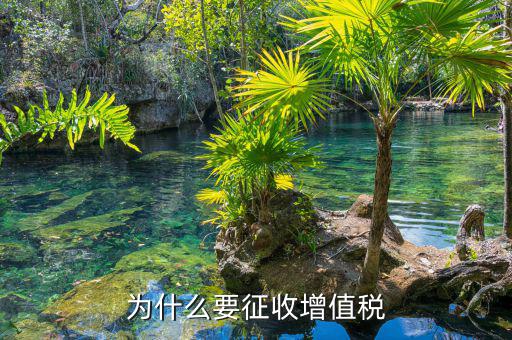 境外勞務為什么要交增值稅，為什么要交增值稅