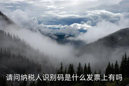 發(fā)票納稅人代碼是什么意思，請(qǐng)問納稅人識(shí)別碼是什么發(fā)票上有嗎