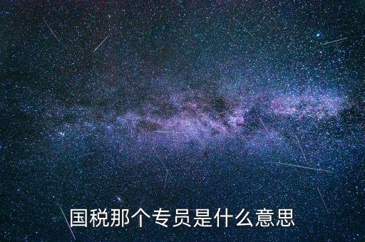國(guó)稅那個(gè)專(zhuān)員是什么意思