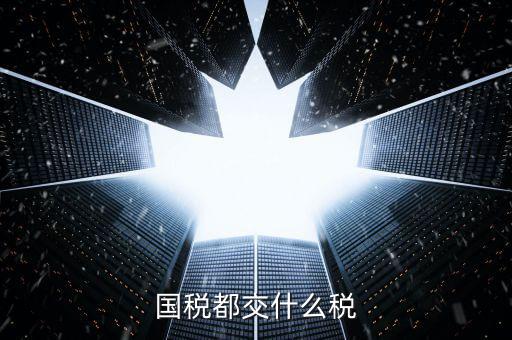 國稅稅款是什么，國稅都交什么稅