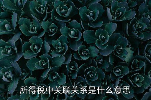 所得稅關(guān)聯(lián)表是什么意思，所得稅中關(guān)聯(lián)關(guān)系是什么意思