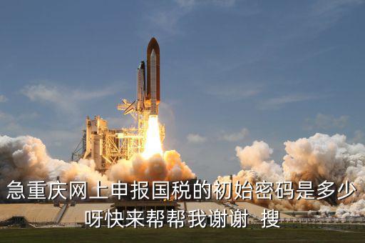 網(wǎng)上國(guó)稅申報(bào)的密碼是什么，急重慶網(wǎng)上申報(bào)國(guó)稅的初始密碼是多少呀快來幫幫我謝謝  搜