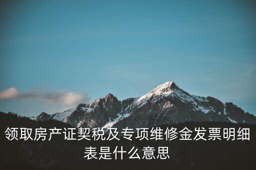 領(lǐng)取房產(chǎn)證契稅及專項維修金發(fā)票明細表是什么意思